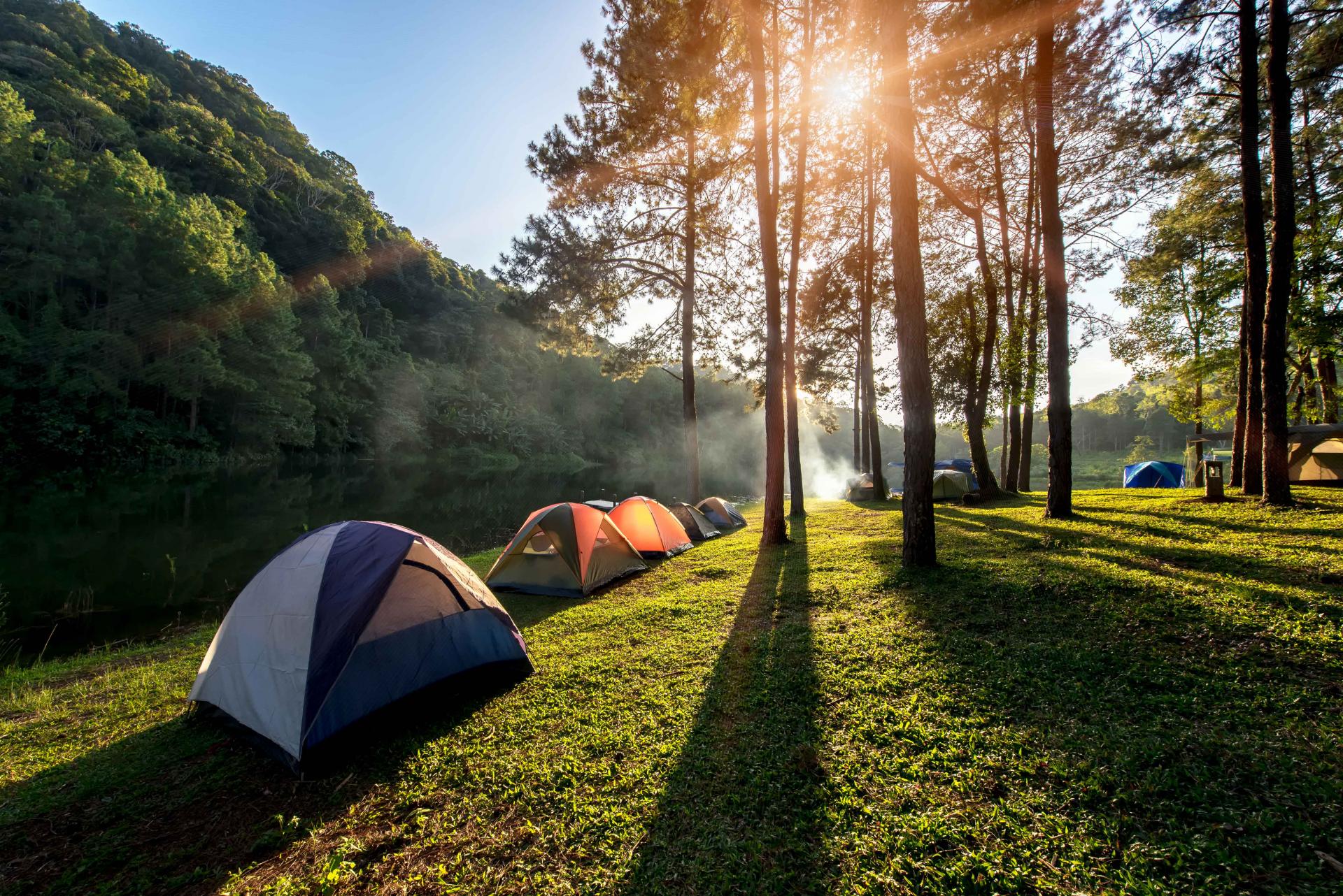 Camping in Khao Yai 